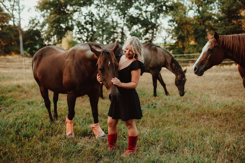 A sequence of equestrian training photos showing horses and riders practicing in an outdoor arena at sunset.