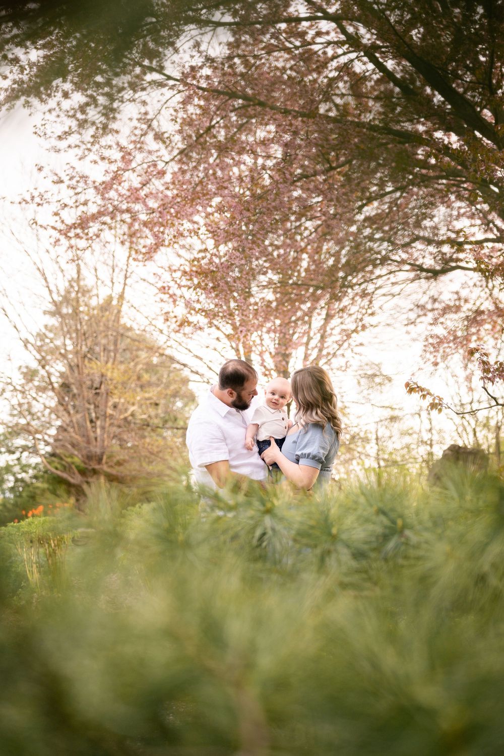 A couple shares a romantic moment among blossoming cherry trees in a springtime garden setting.