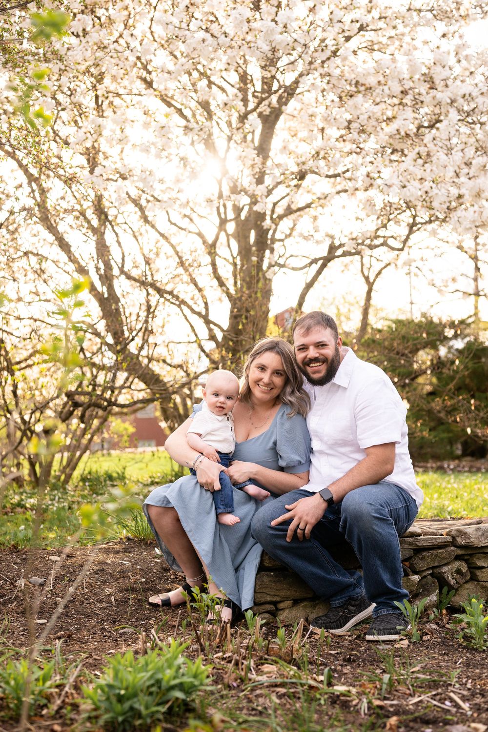 A family sits together under blooming cherry blossom trees during a spring photo session.