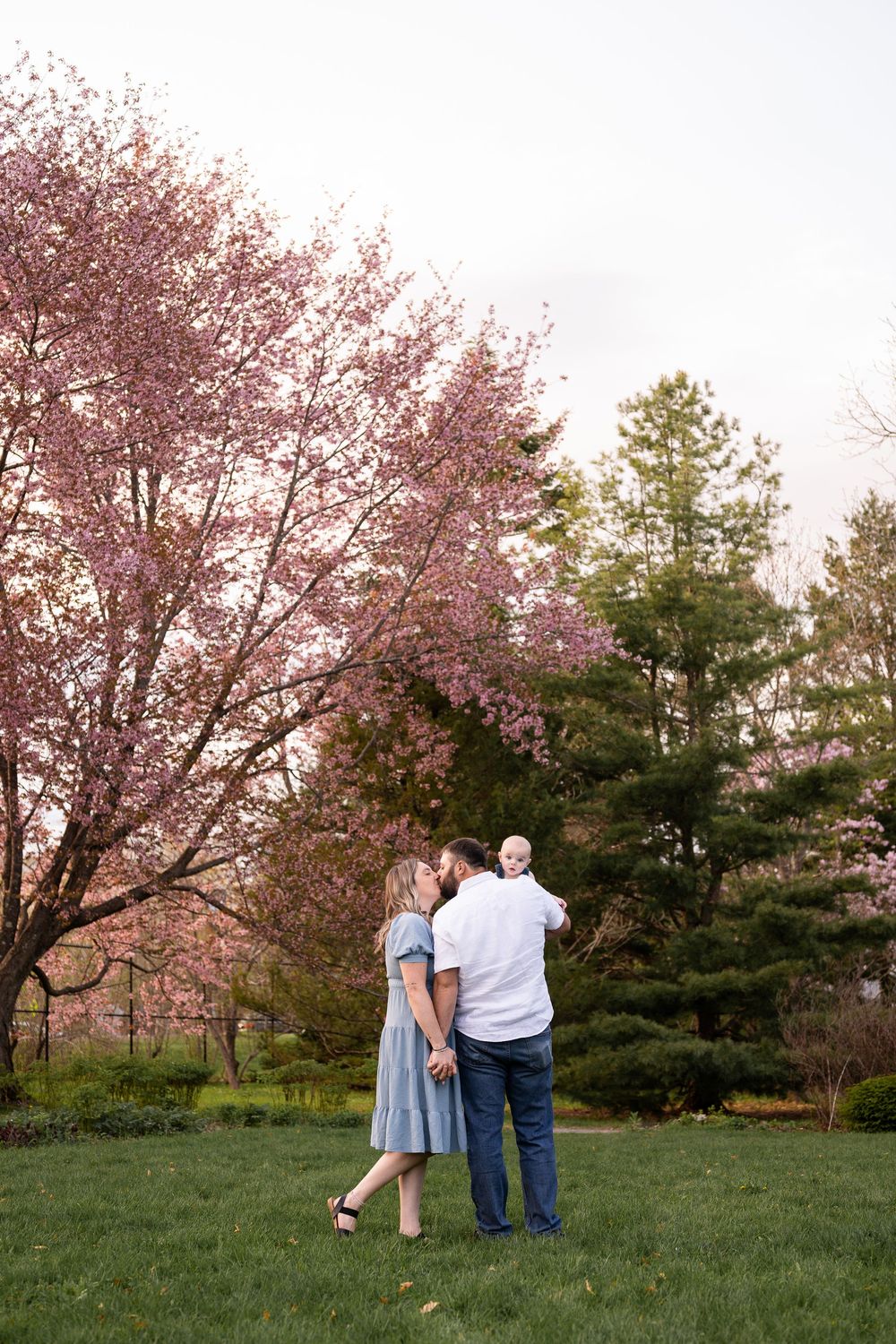 A couple enjoys a romantic moment under blooming cherry blossom trees in a spring meadow.