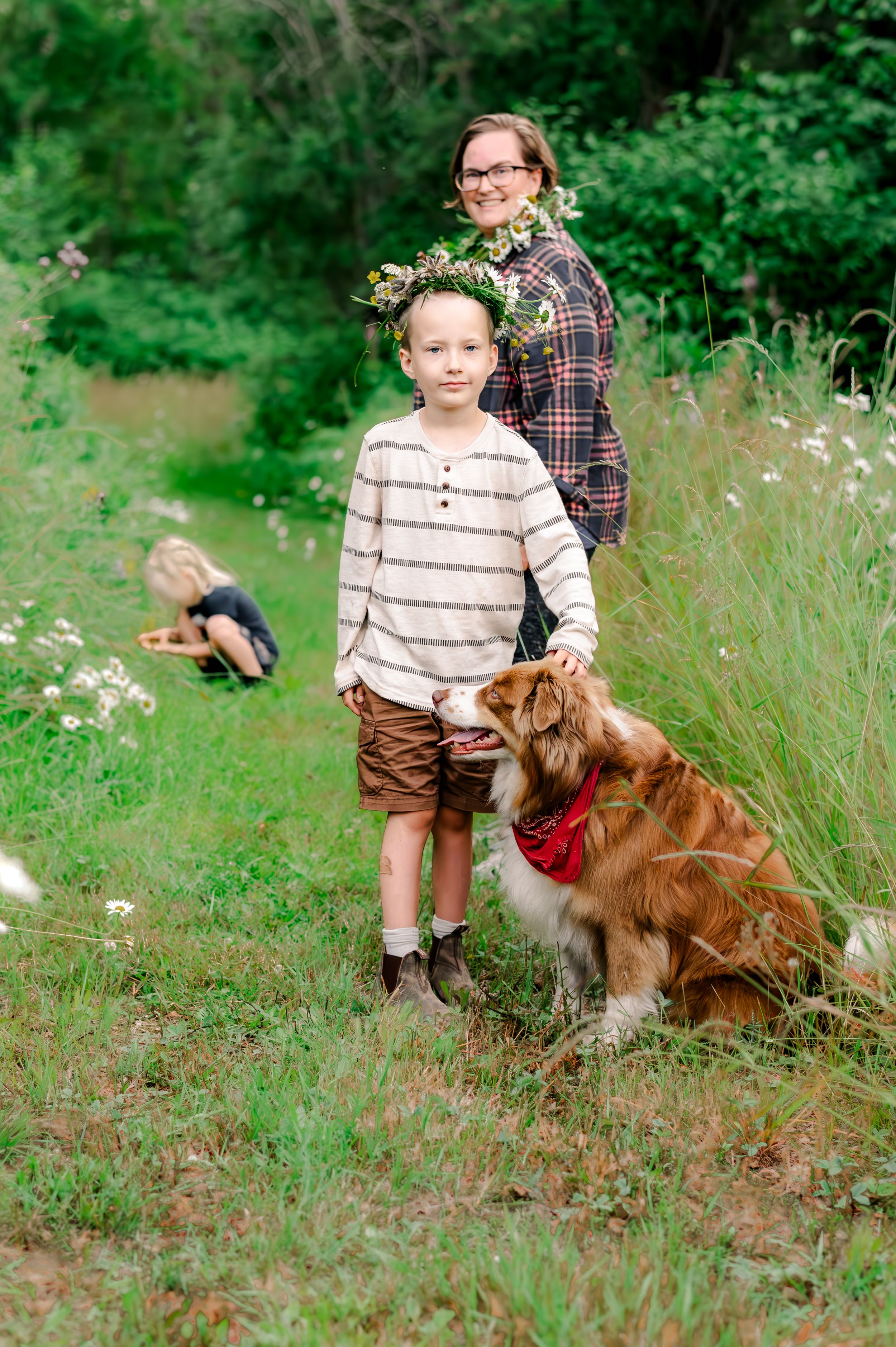 A beautiful brown dog with a red collar sits in a grassy outdoor setting surrounded by wildflowers and greenery.
