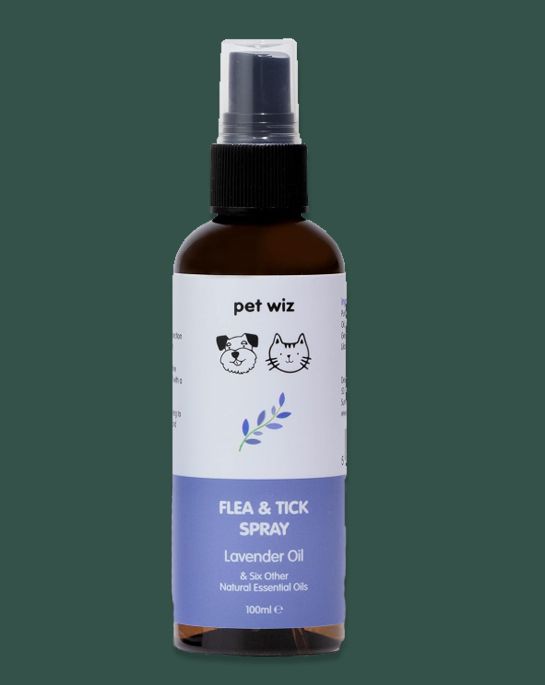piratedog.co.uk, behaviourist, dog, pest, control, natural, recommendation