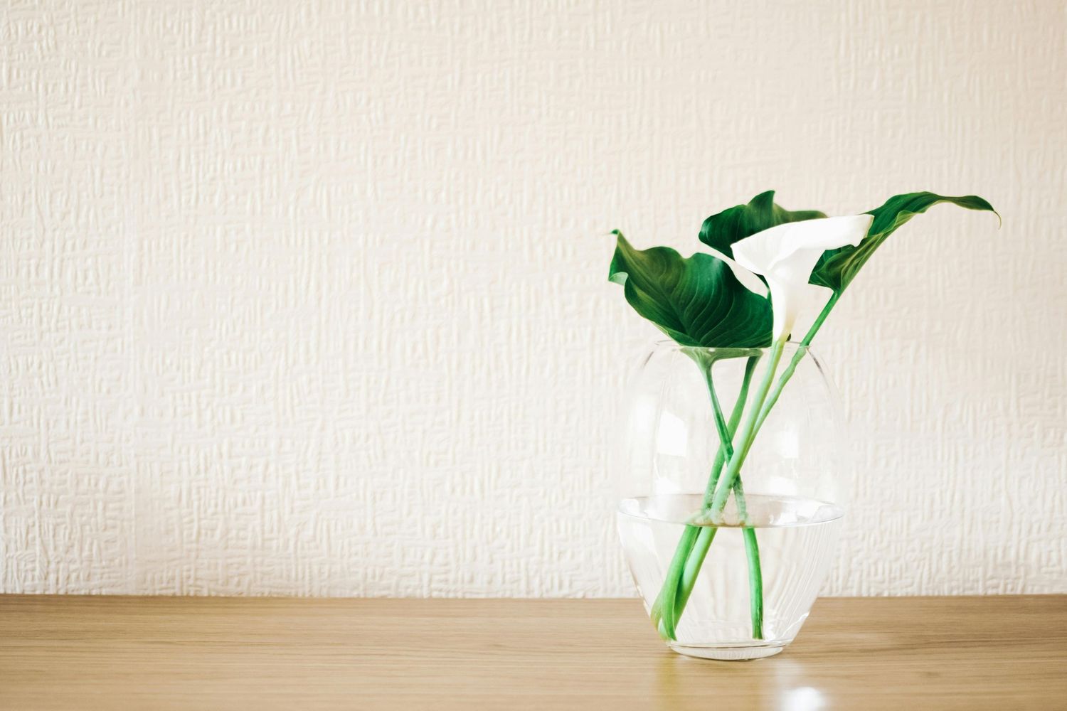 Flower Vase Background