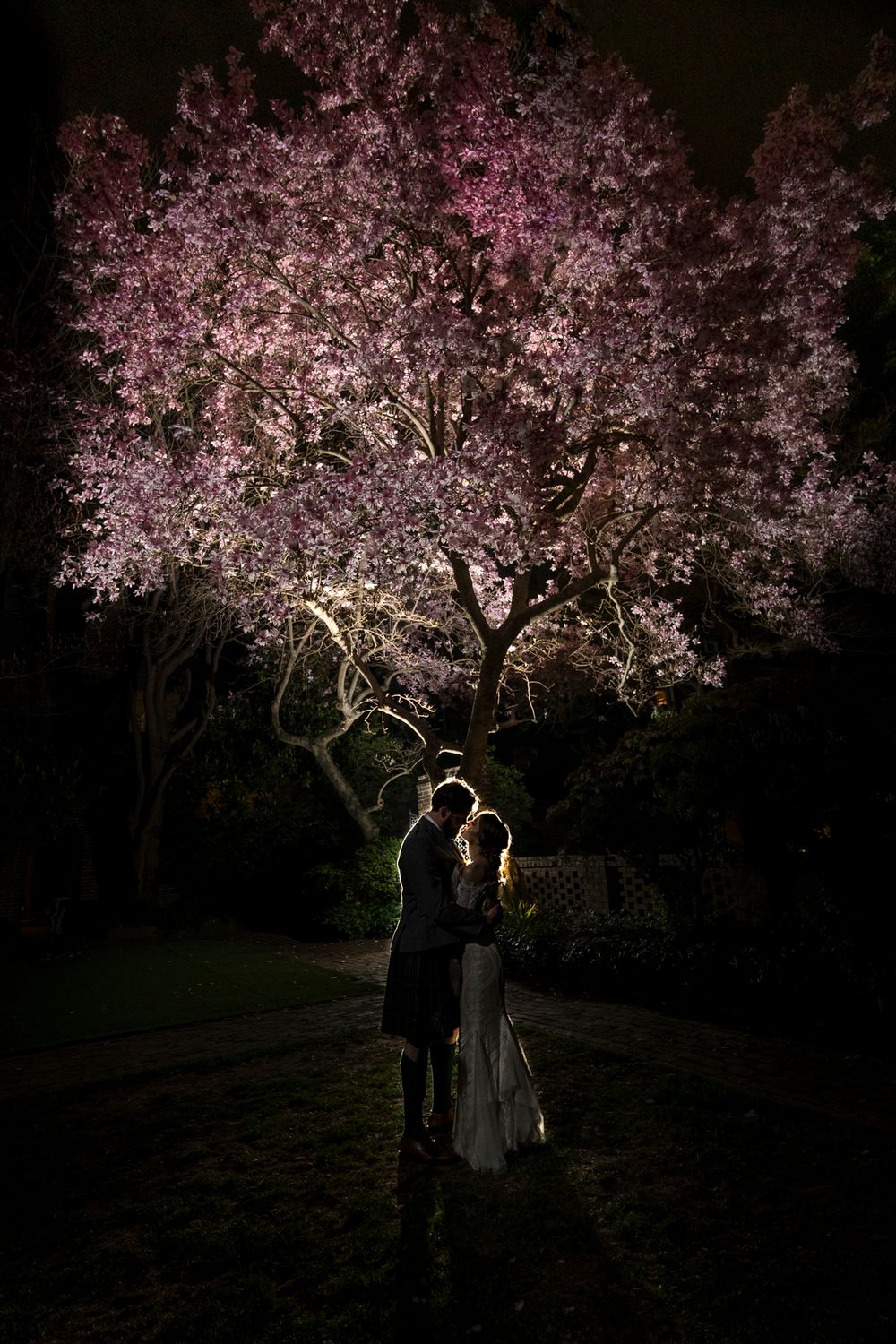 Silhouetted couple standing beneath illuminated cherry blossom trees at night.