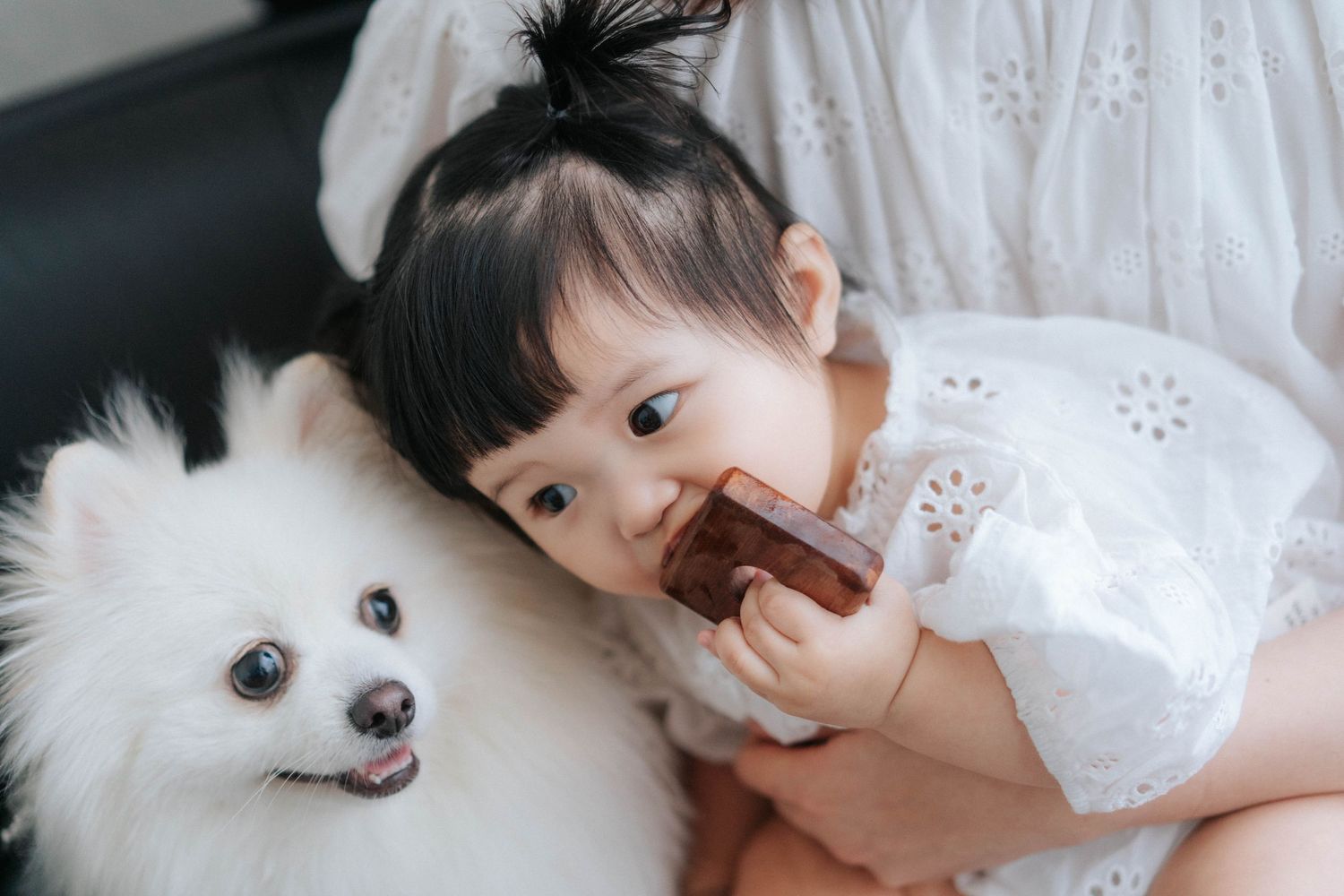 A cute toddler girl in a white dress eating a popsicle beside a fluffy white Pomeranian dog.一個穿著白色連身裙的可愛小女孩在一隻毛茸茸的白色博美犬旁邊吃冰棍。