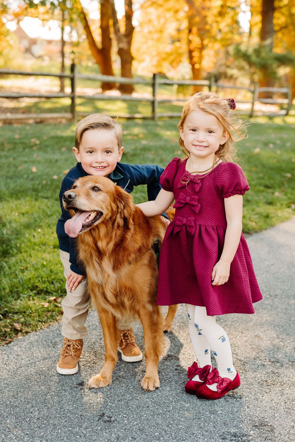 Children playing with a friendly golden retriever dog on a gravel path surrounded by fall foliage.