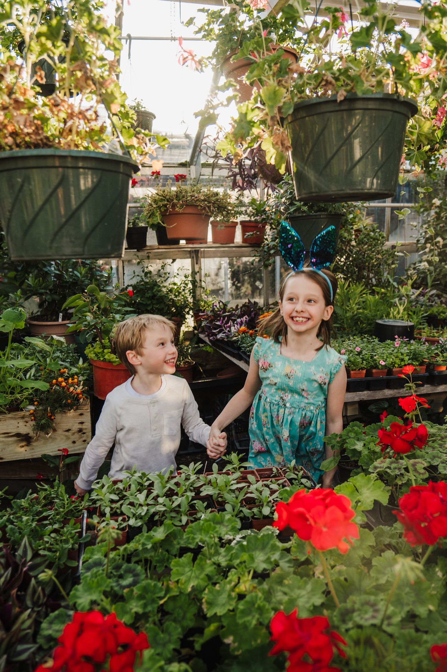 A sequence of photos showing people laughing and enjoying themselves in a greenhouse filled with red flowers and plants.