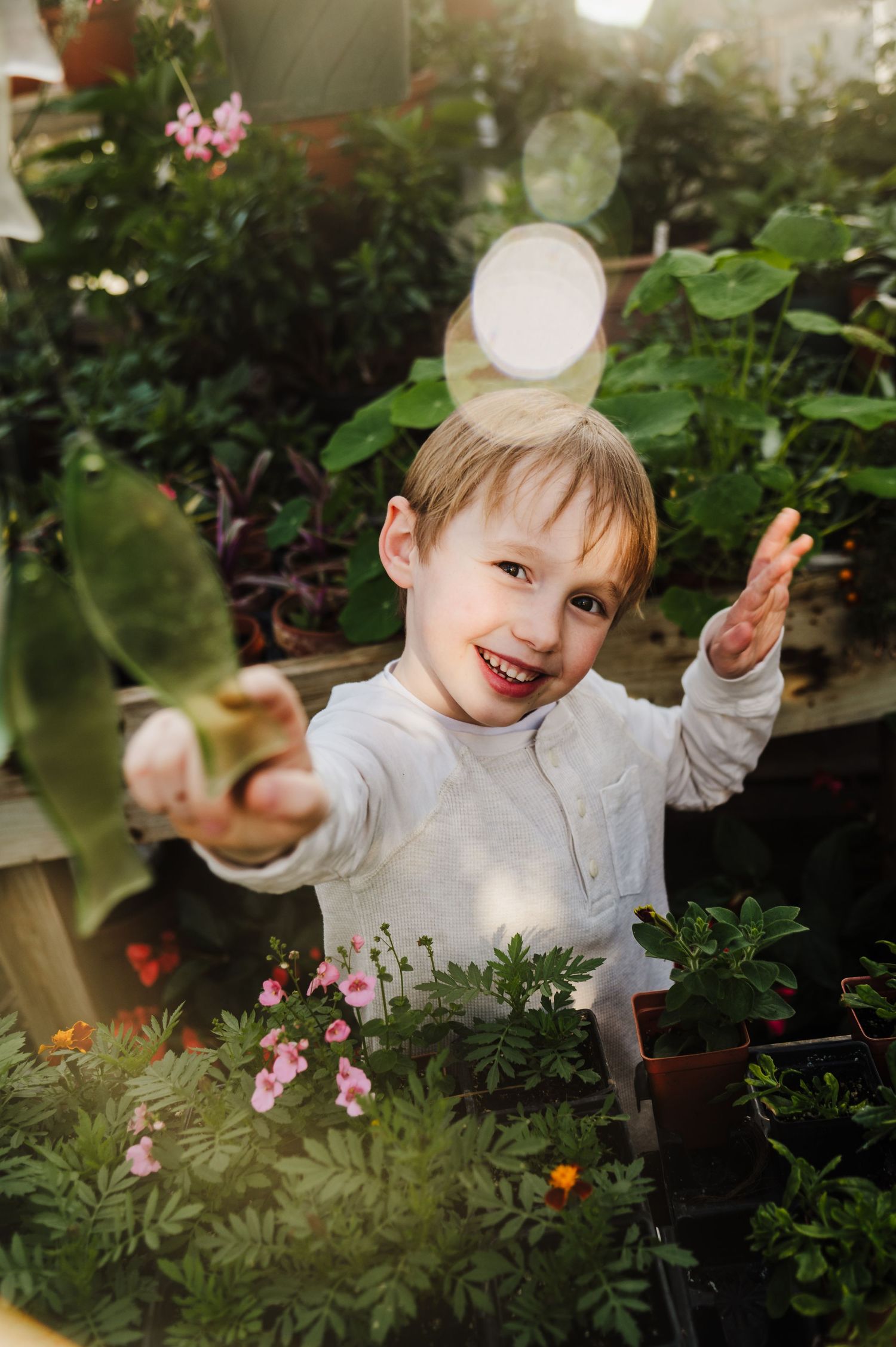 A child wearing a light gray sweater plays among potted plants and pink flowers in a garden setting.