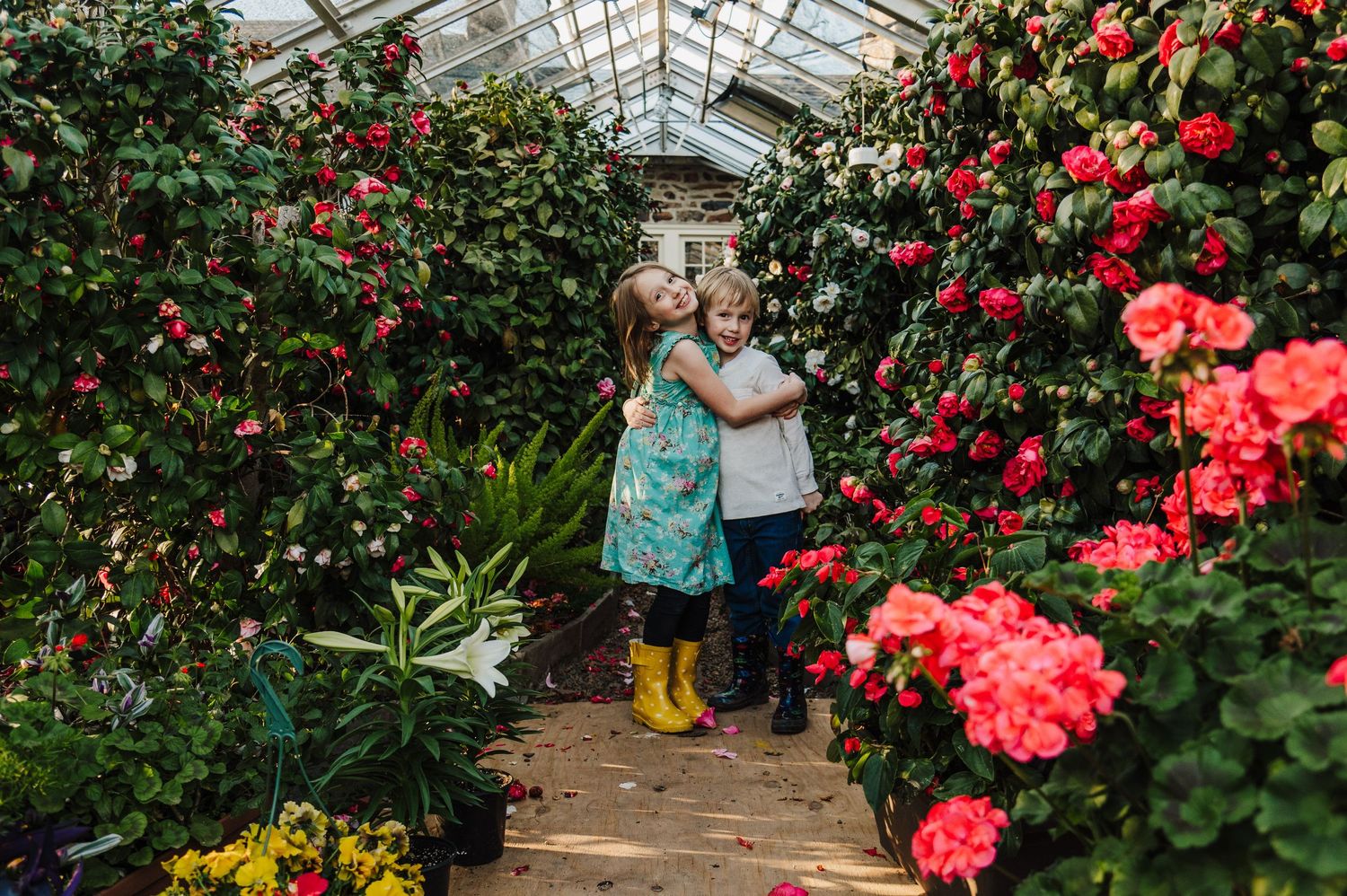 Two children explore a vibrant greenhouse filled with blooming red camellias and tropical plants.