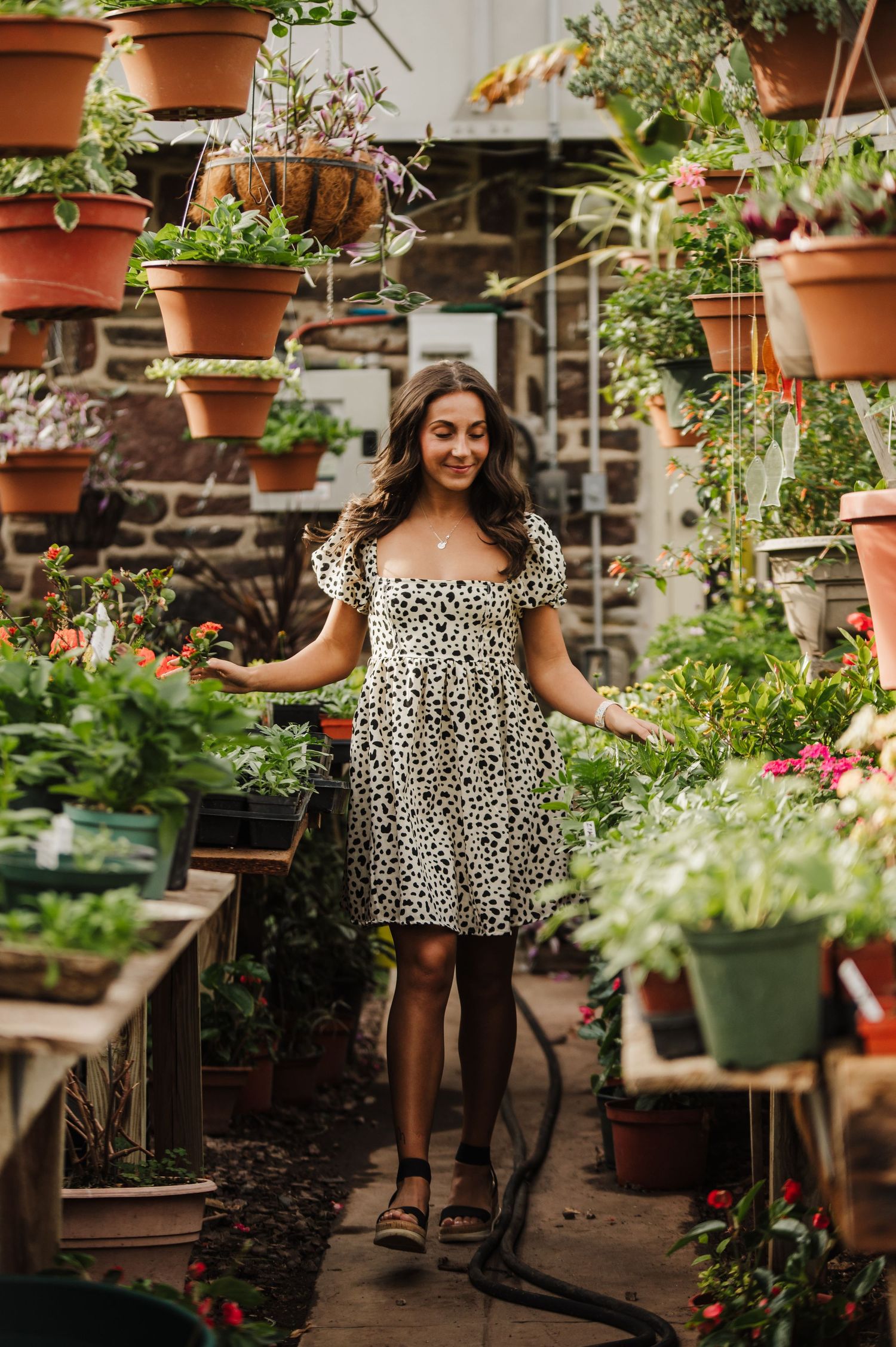 A greenhouse or indoor garden space filled with terracotta pots and lush plants on shelves and hanging displays.