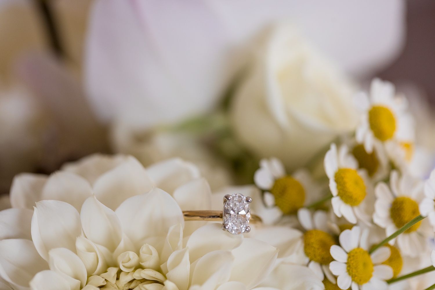 Diamond engagement ring on display with soft white dahlia petals and delicate daisies in elegant wedding photography.