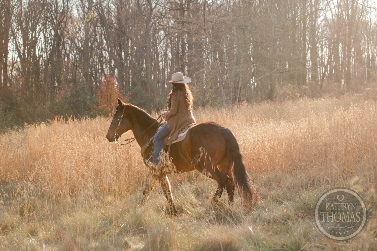 A rider on horseback traverses through tall golden grass at sunset with bare trees in the background.