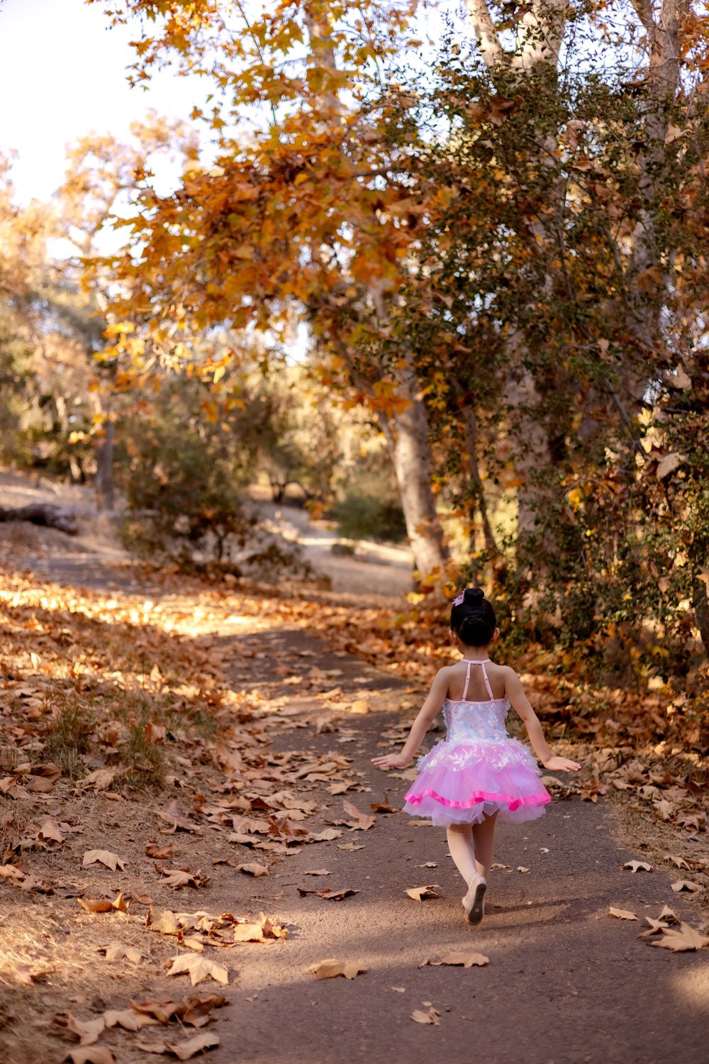 Little girl in ballerina costume walking away from the camera in a park full of golden leaf trees at Felicita Park in Escondido, CA.