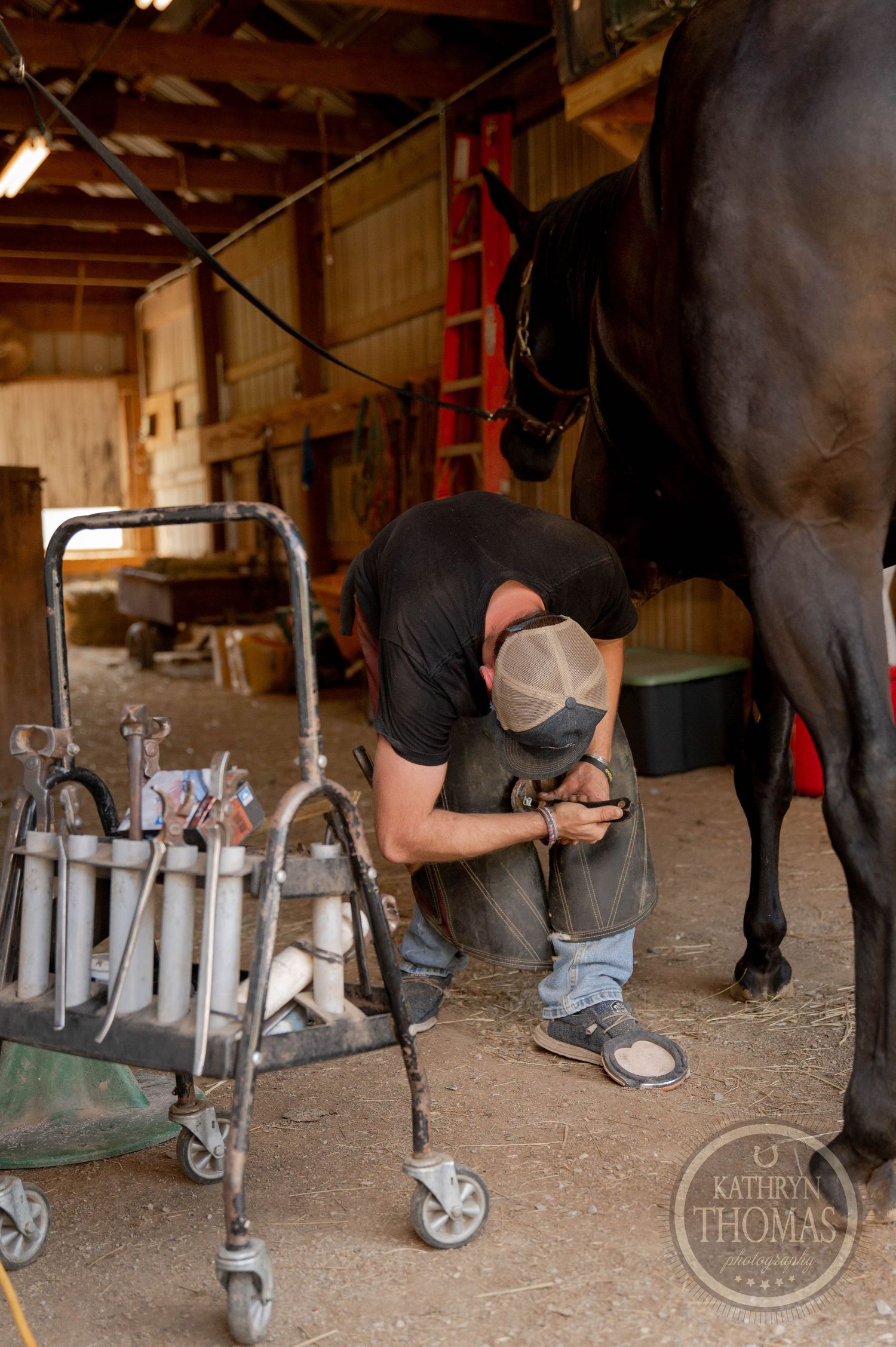 Farrier working on horse hooves with specialized equipment in stable setting.