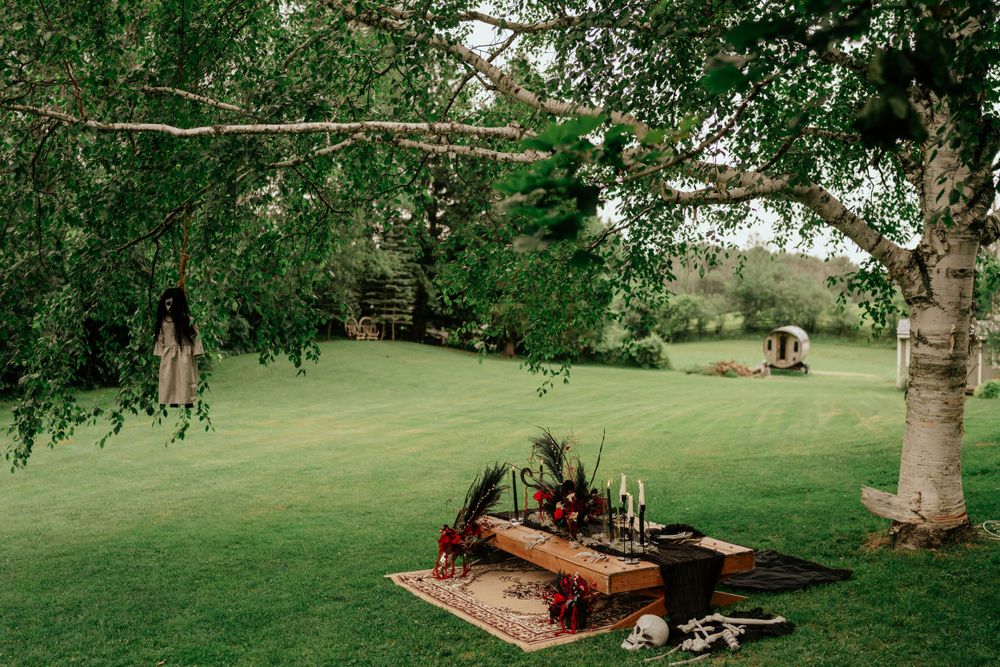 Bohemian outdoor picnic setup with blankets and cushions under a shady tree on a green lawn.