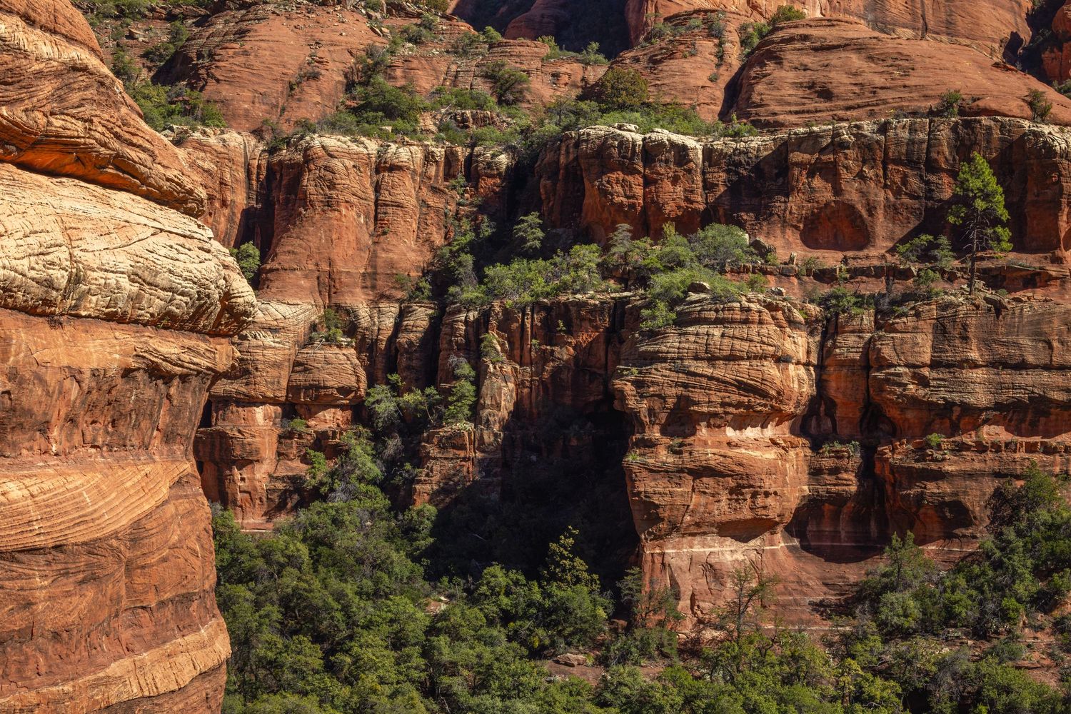 Red Rocks of Sedona, AZ