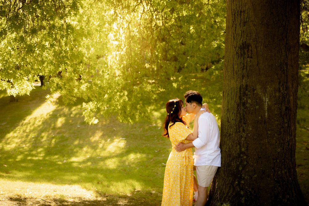 A romantic scene with soft golden lighting as a couple embraces near a tree.
