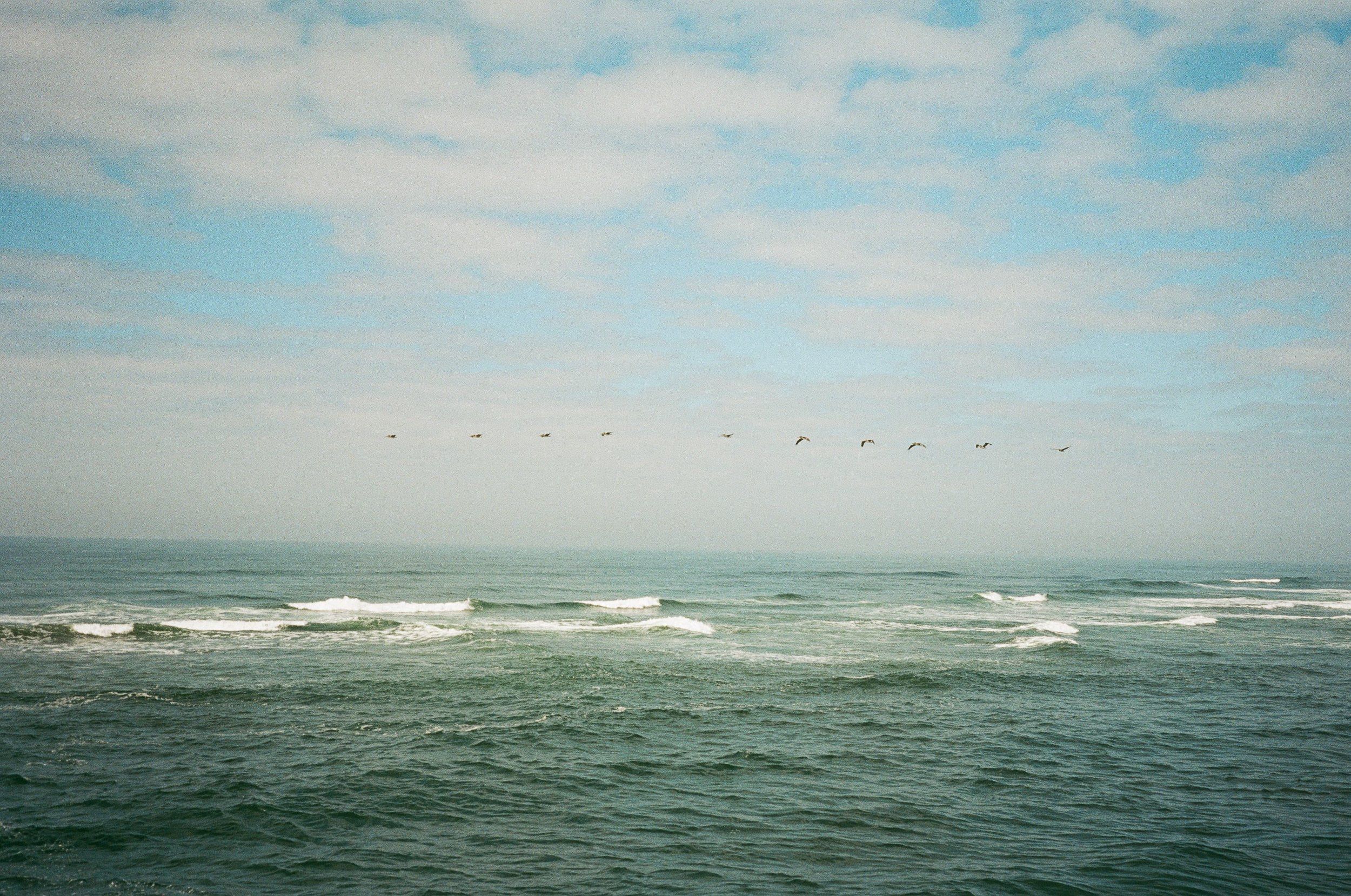 A line of birds flies over a misty ocean horizon with rolling waves and cloudy blue skies.