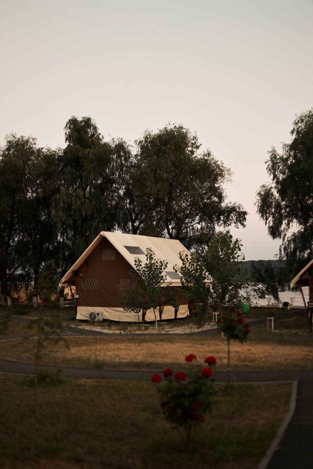 Rustic wooden cabins nestled among willow trees at dusk with red roses in the foreground.