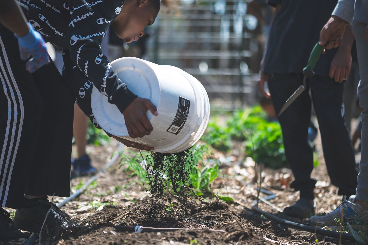 Students work together planting vegetables in a community garden while wearing matching school uniforms.