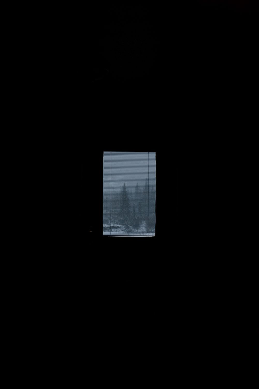 Dark room with small window revealing snowy evergreen forest outside through venetian blinds at night.