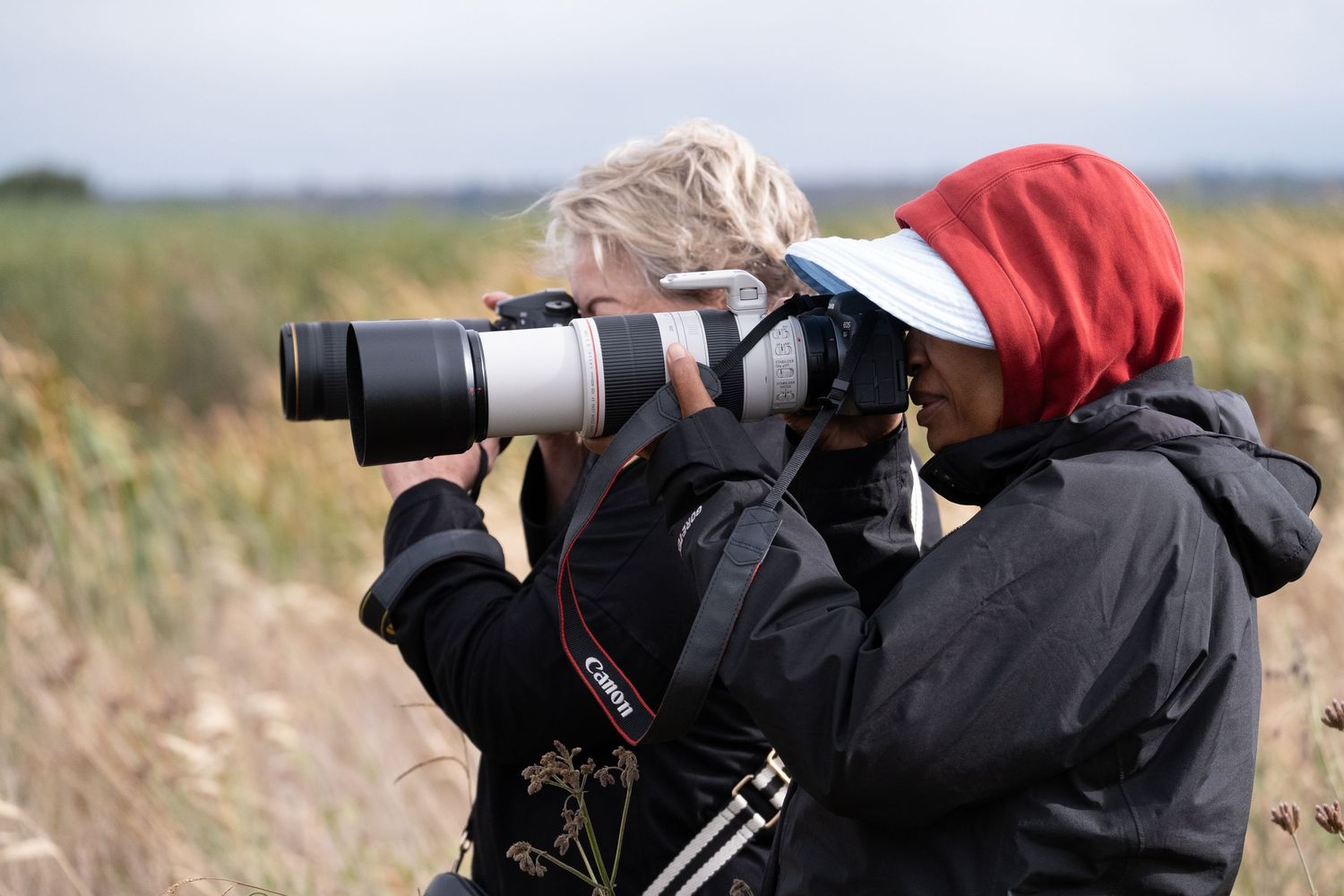 Wildlife photographic module with part time photographic students at Marievale Bird Sanctuary in Nigel.