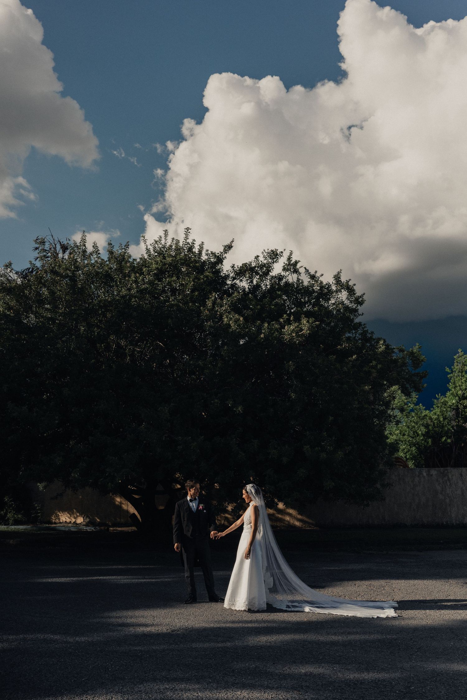 Bride and groom share a romantic moment outdoors under dramatic cloudy skies with lush greenery behind them.