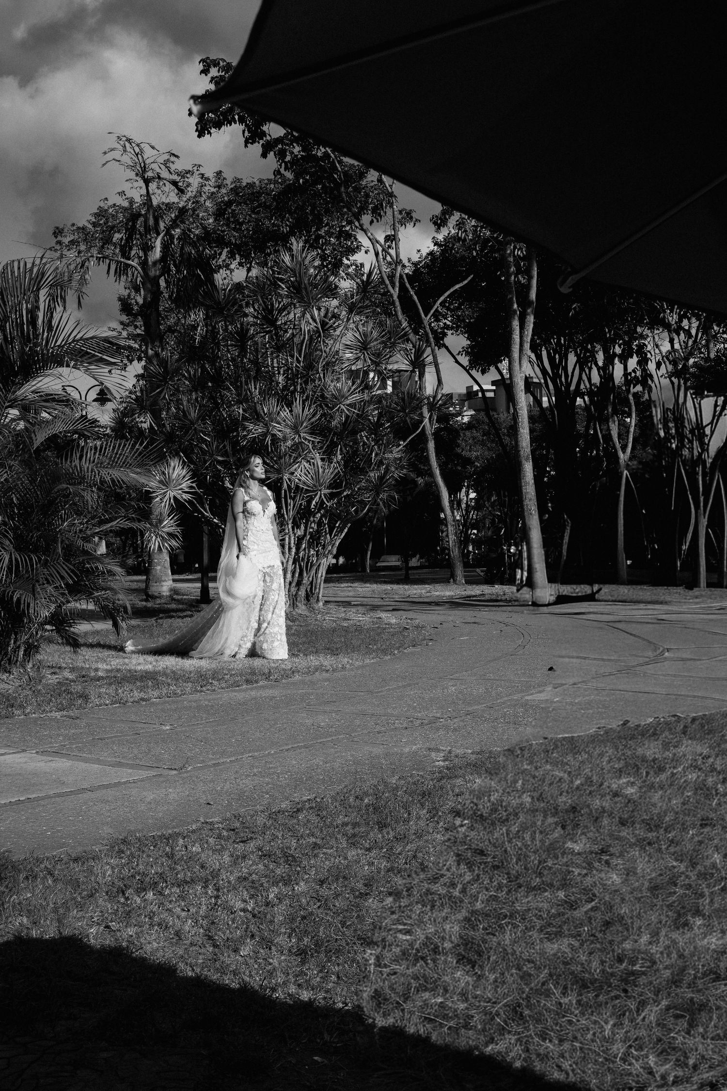 Black and white panoramic wedding photo sequence showing a couple walking across a grassy field with trees.