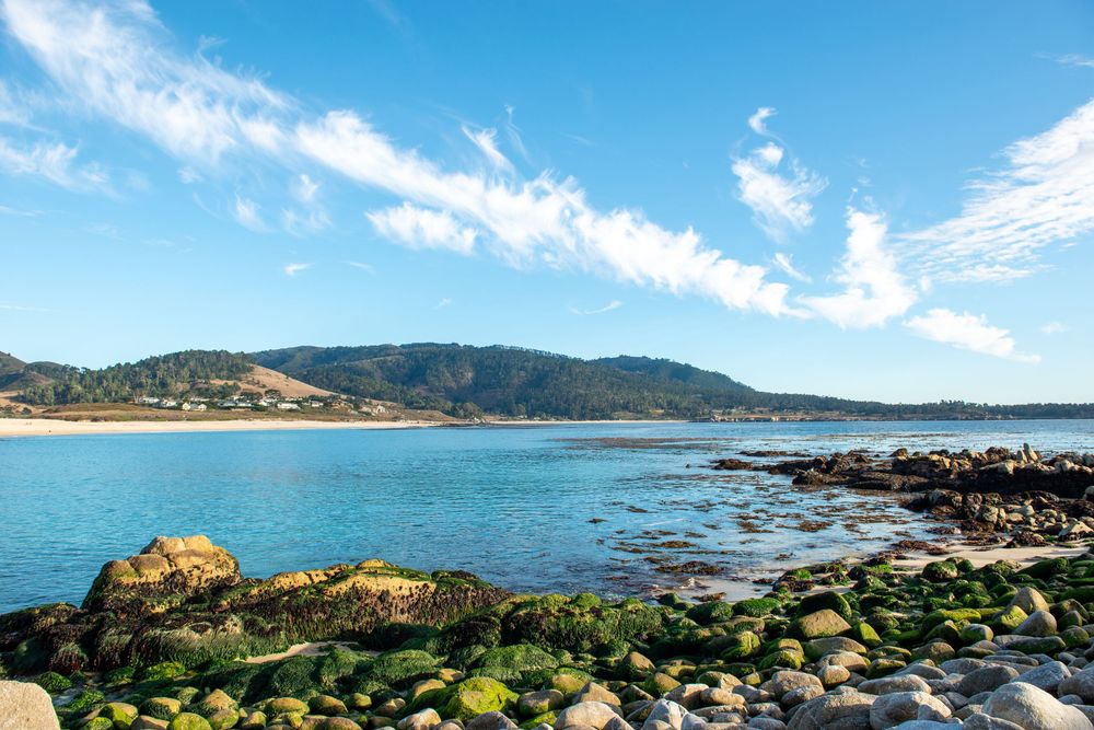 Carmel by the Sea family photographer