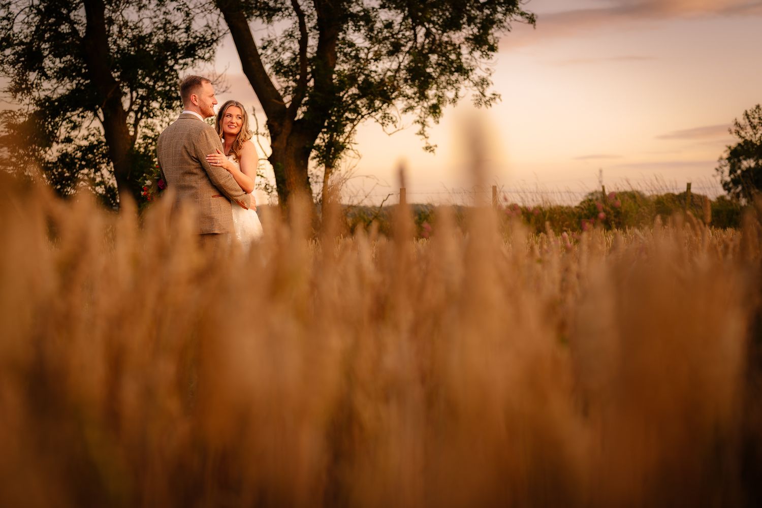 Silhouetted figures embrace in a golden wheat field during sunset as trees frame the romantic scene.