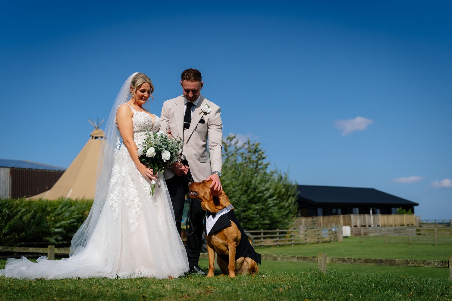 A couple in wedding attire poses with their dog in a sunny outdoor setting with blue skies.