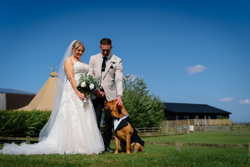 A couple in wedding attire poses with their dog in a sunny outdoor setting with blue skies.