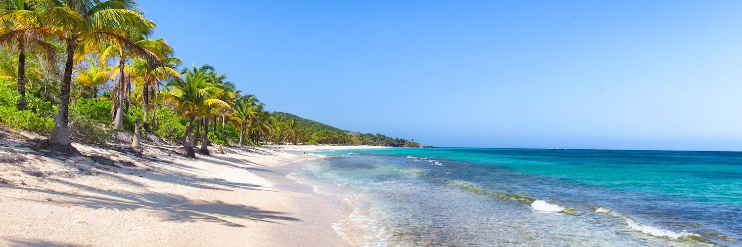Pristine Caribbean beach with palm trees and crystal clear turquoise waters.