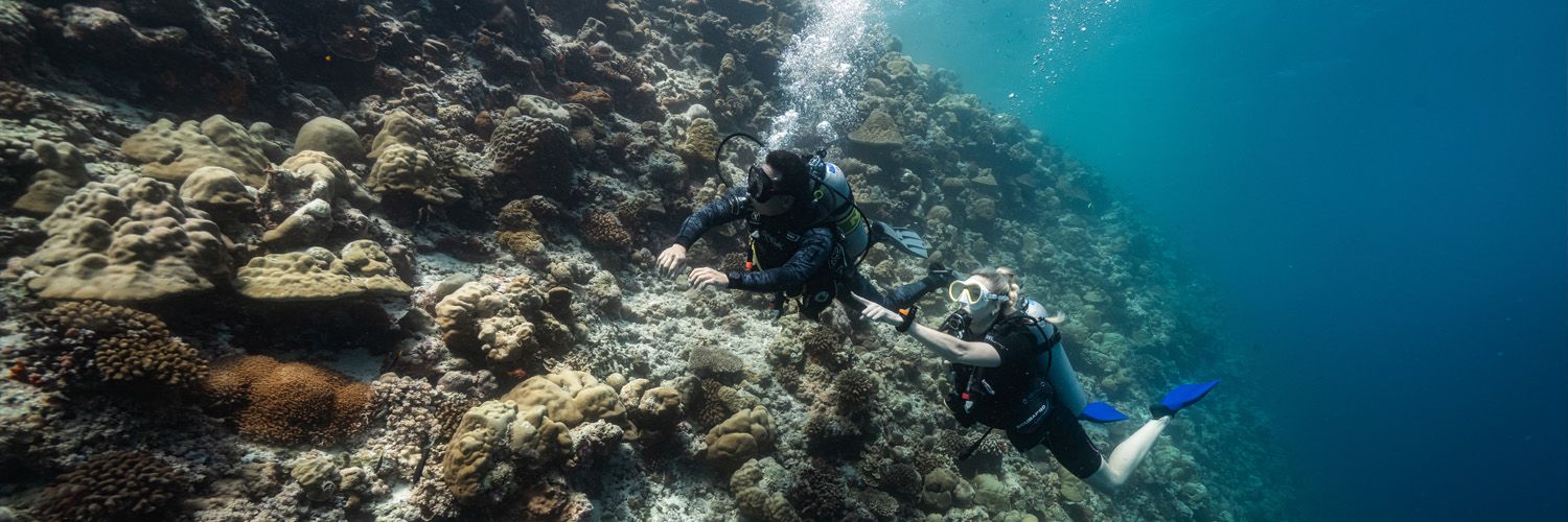 Underwater photograph showing a diver and mermaid tail silhouetted against dramatic lighting in dark water.
