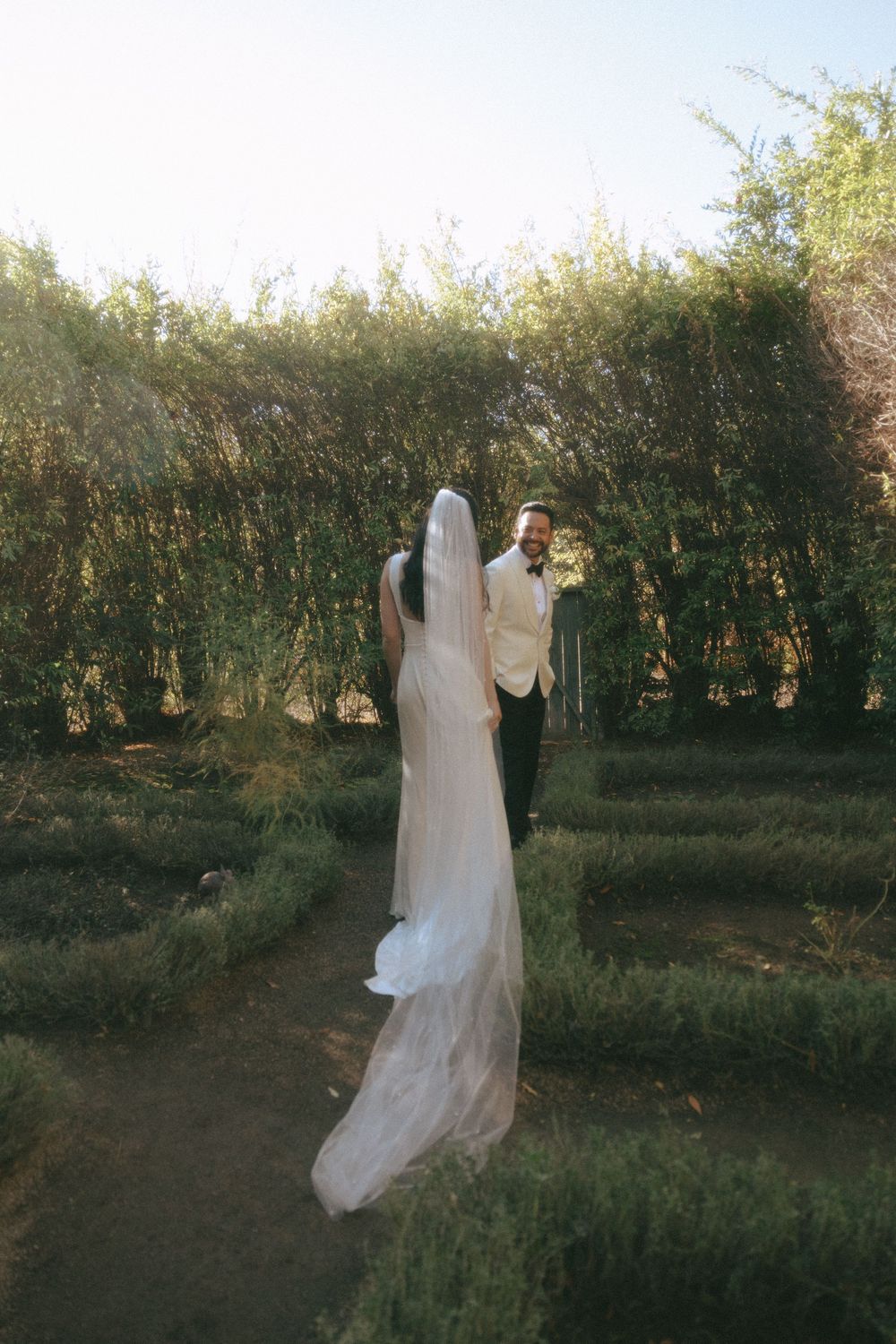 A flowing white wedding dress dances in the wind against a backdrop of green trees and natural foliage.