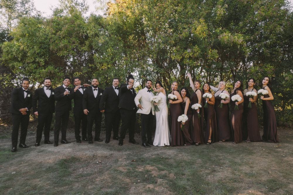 A wedding party poses outdoors in formal attire with bridesmaids in brown dresses and groomsmen in black suits.