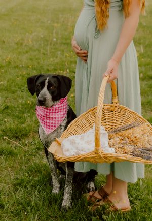 Pregnant woman in sage dress holds basket beside spotted dog with pink bandana.