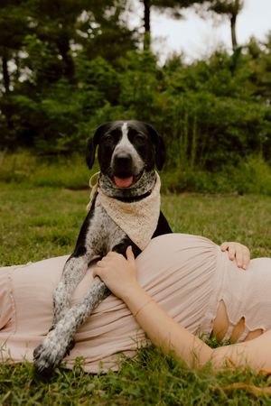 Black and white spotted dog wearing bandana resting on pregnant woman's lap outdoors.