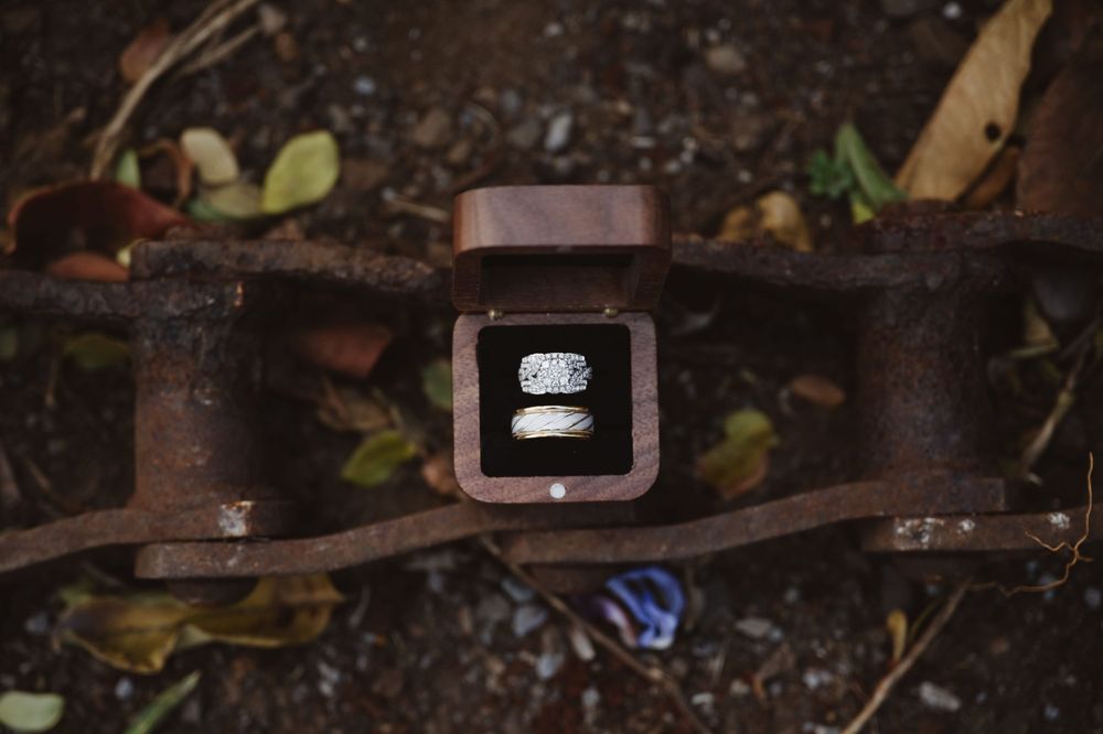A close-up view of rustic metal brackets and hardware mounted on a weathered wooden surface with green foliage.