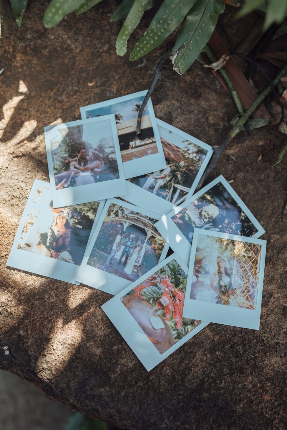 A collection of vintage Polaroid photographs scattered on a dark surface in natural lighting.