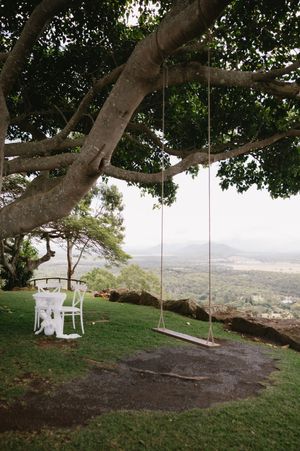 Two swings hang from a large tree overlooking a scenic valley vista.