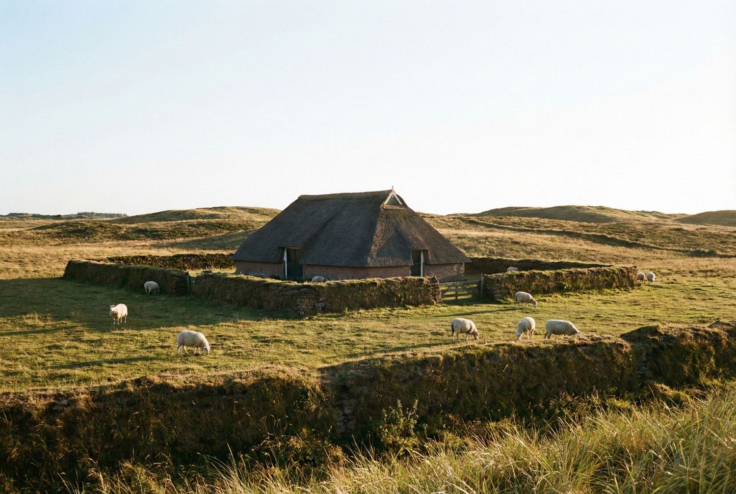 Het landschap 'De Hoge Berg' is uniek in Nederland