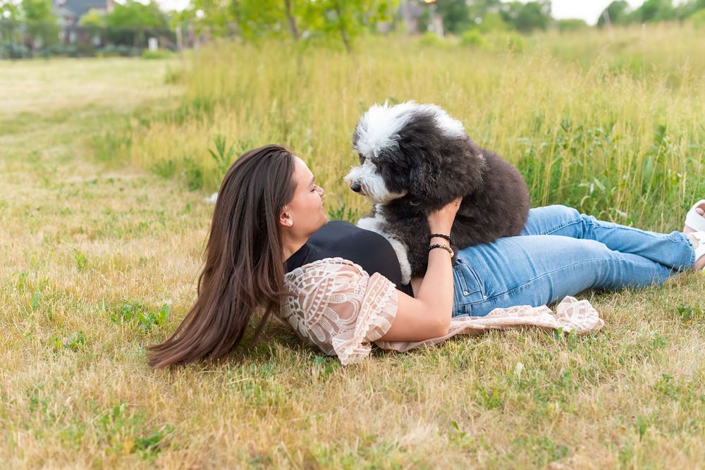 Person lying in grass while playing with a fluffy black and white dog in an outdoor setting.