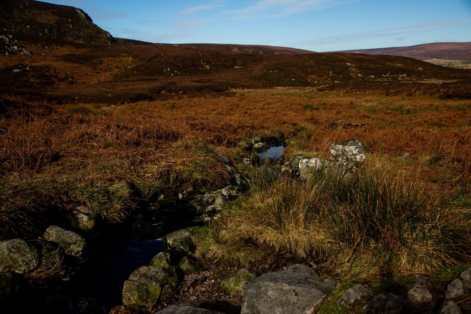 scenic image of bog peatlands in the Wicklow countryside