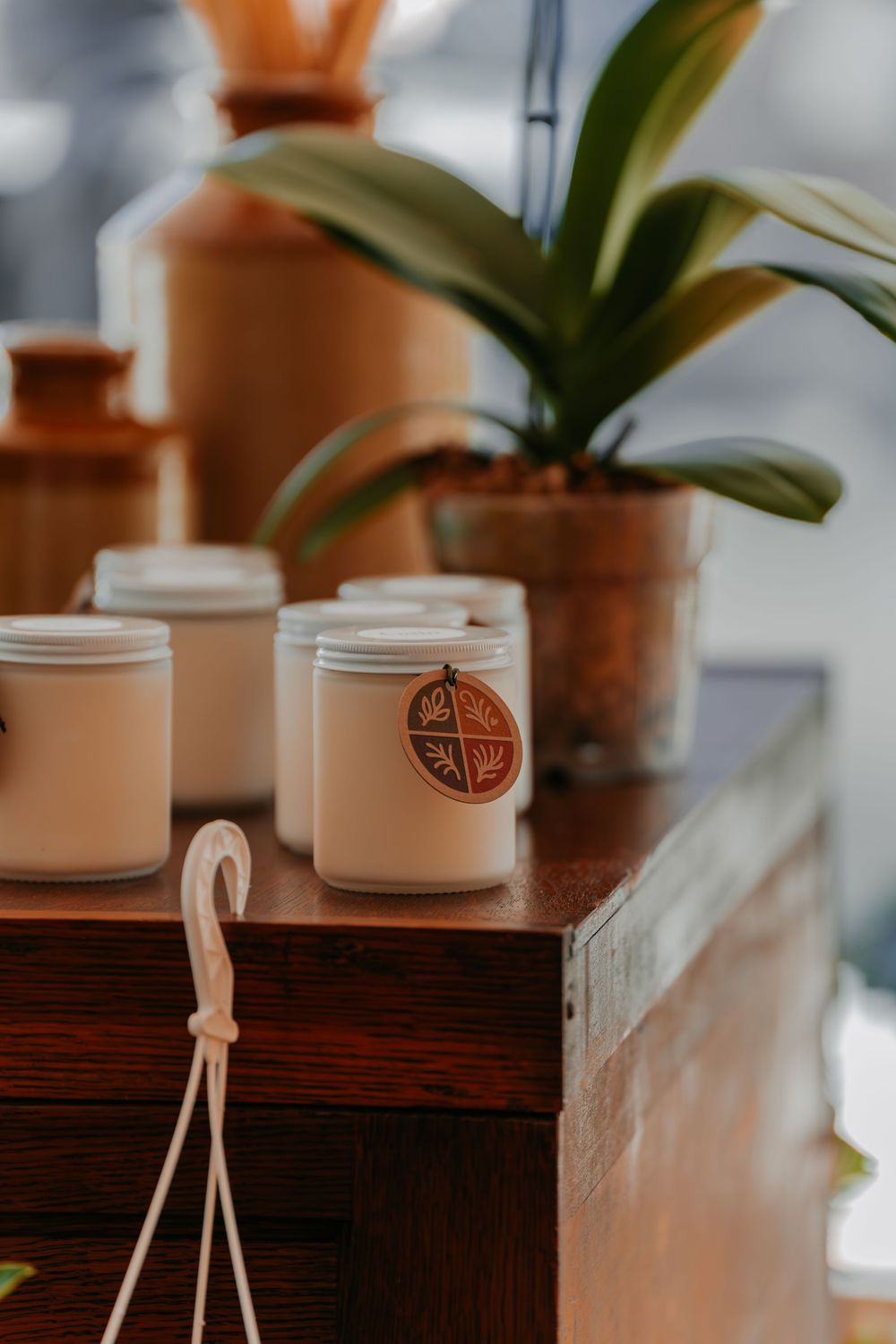 fleur Gaia fleuriste Montréal corporatif entreprise