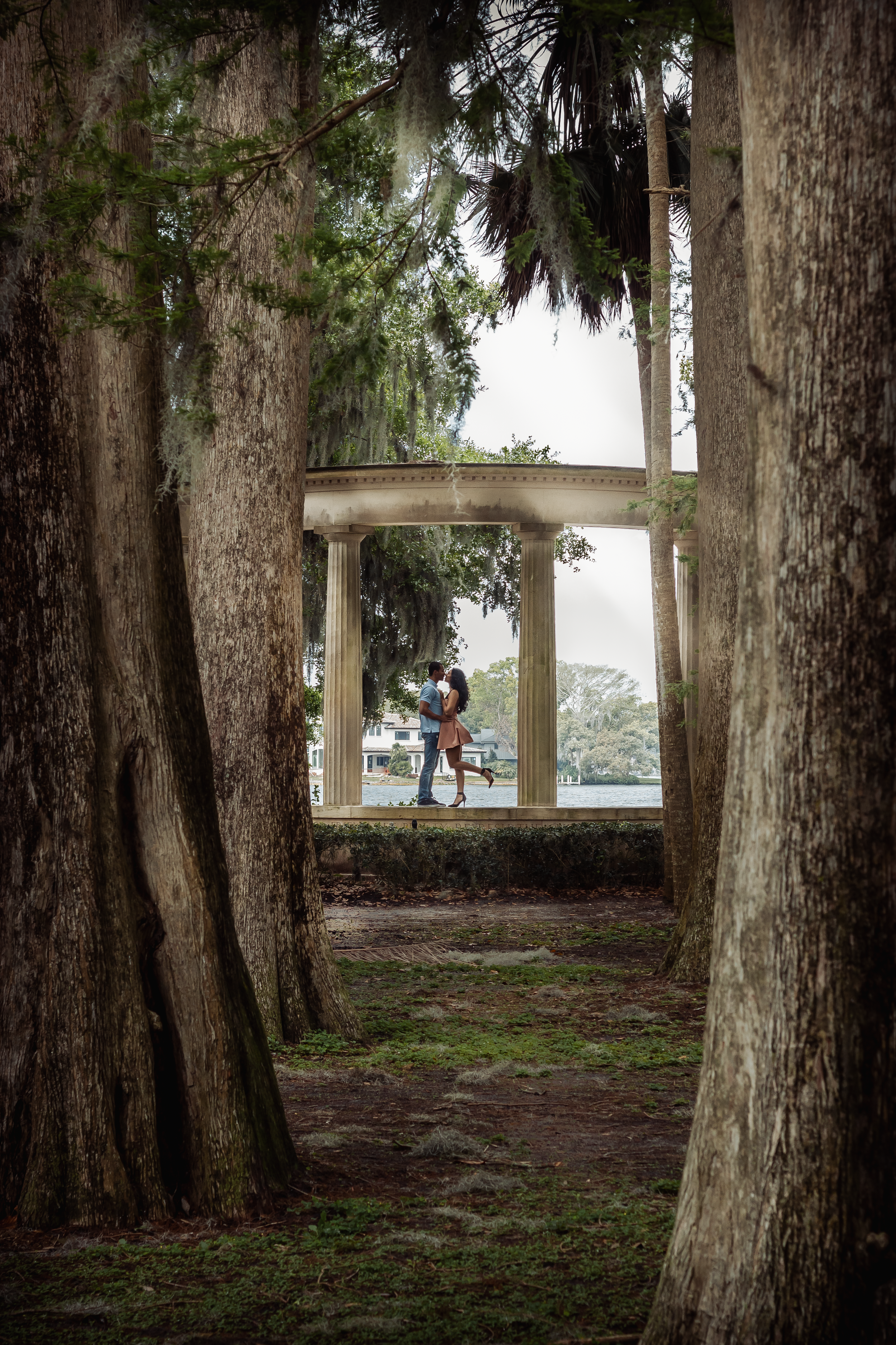 Scenic forest path with Spanish moss hanging from trees and wooden boardwalk.