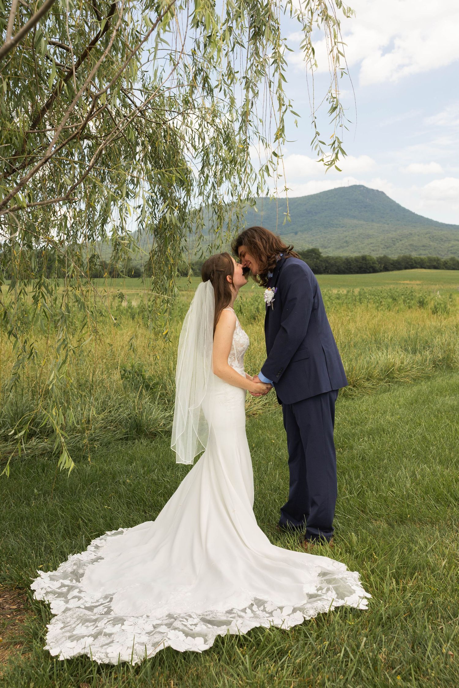 Bride and groom sharing a kiss under a weeping willow tree with mountain views and green fields behind them.