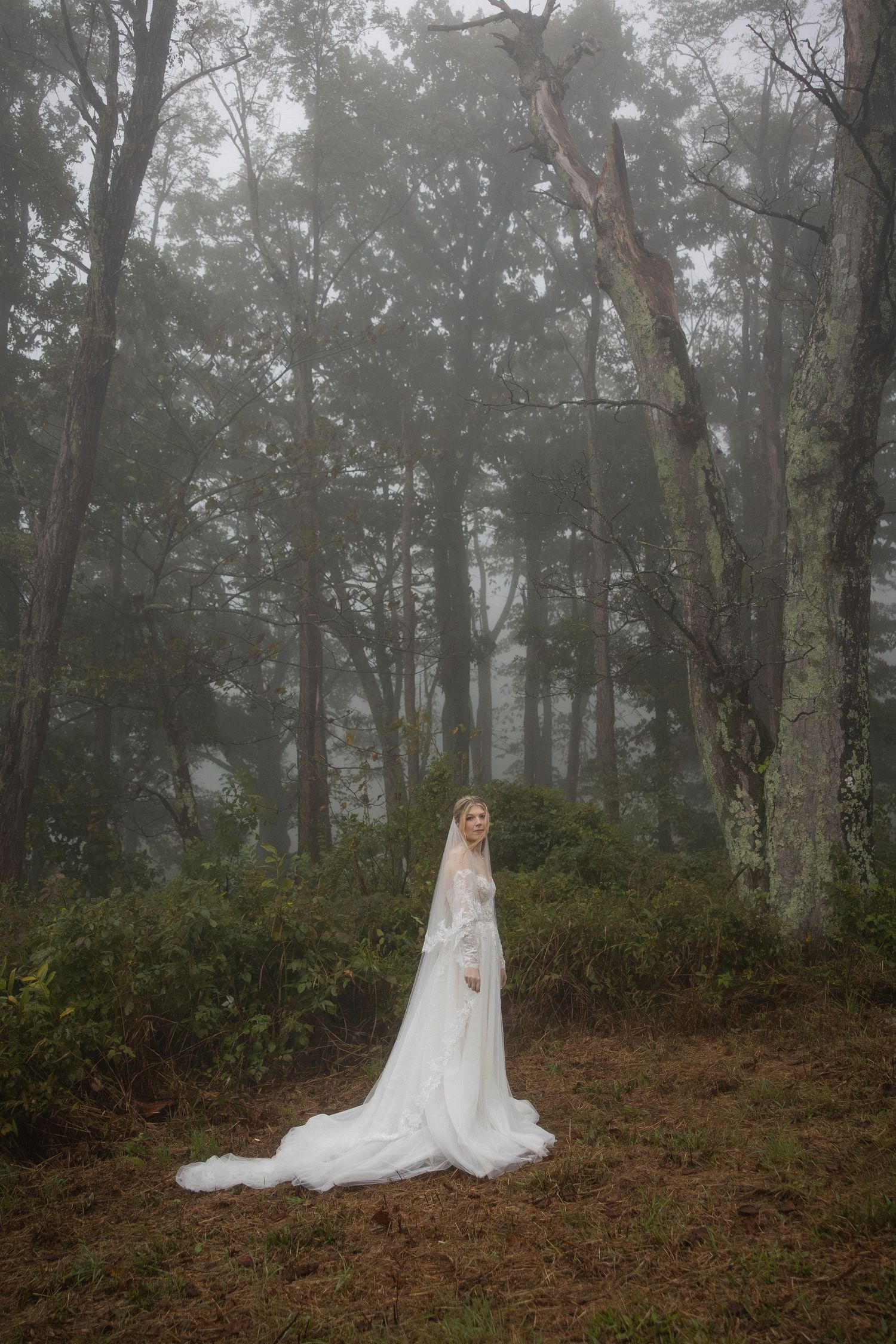 Bride in white gown and veil stands in misty forest surrounded by tall trees and lush greenery.