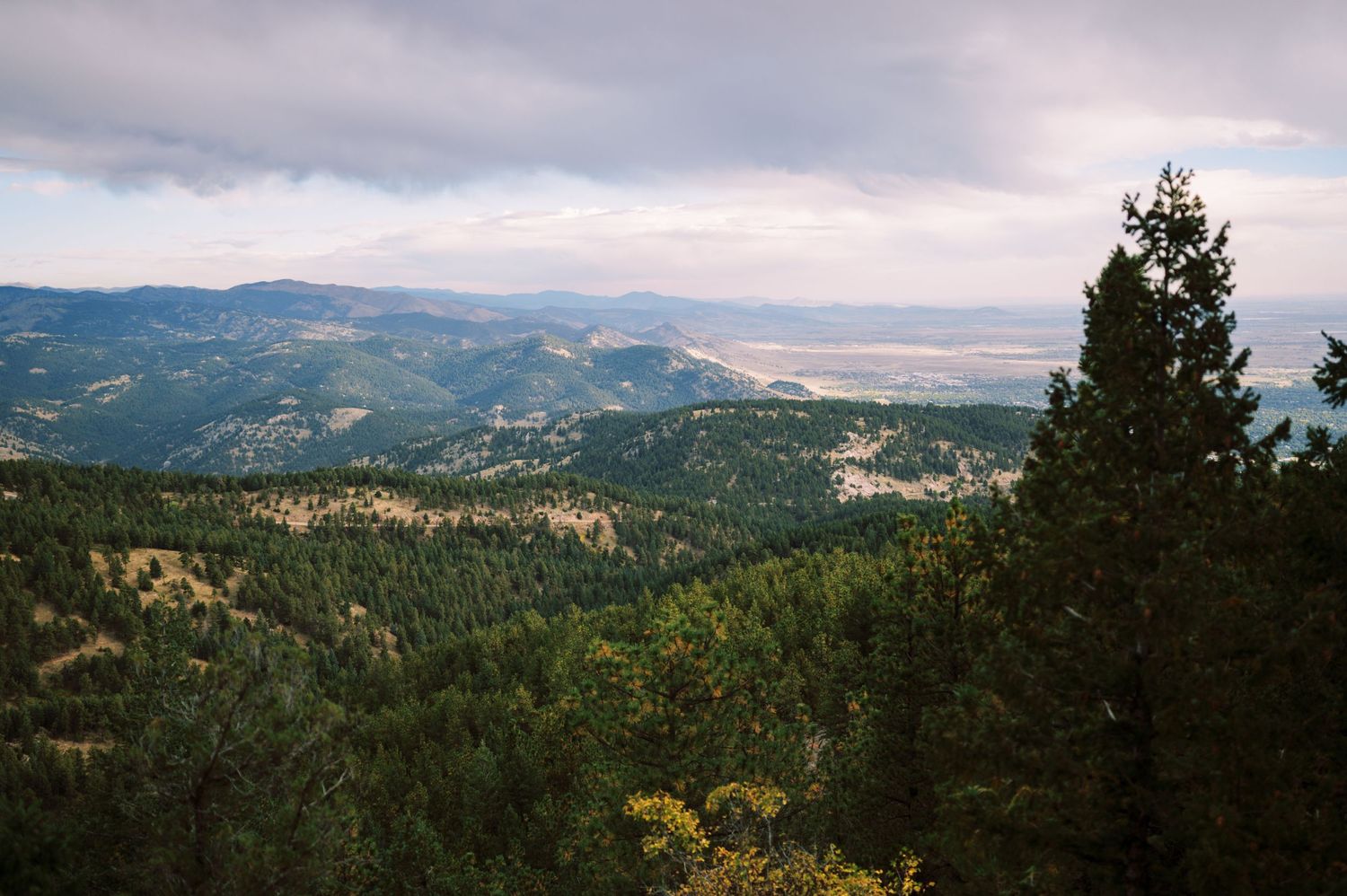 Scenic mountain landscape overlooking forested hills and valleys with evergreen trees in the foreground under cloudy skies.