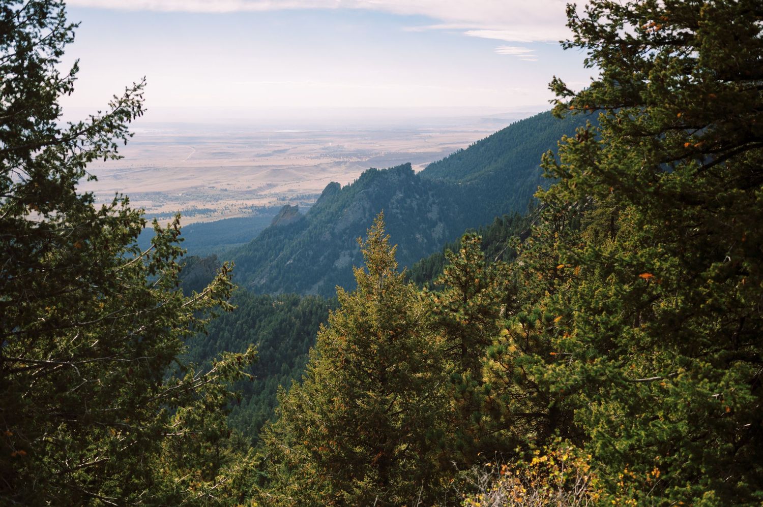 Mountain landscape view through evergreen trees with distant peaks and valley visible in late day light.